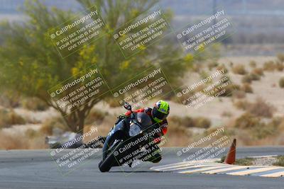 media/Apr-10-2022-SoCal Trackdays (Sun) [[f104b12566]]/Turn 5 Tree of Life (1040am)/